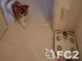 キャッチボール?