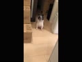 アネット アネット